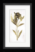 Gold Botanical III Framed Print