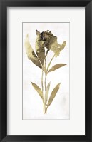 Gold Botanical III Framed Print