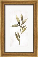 Gold Botanical IV Fine Art Print