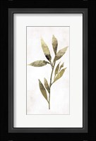 Gold Botanical IV Framed Print
