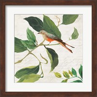 Singing Bird I Fine Art Print