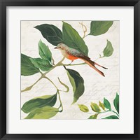 Singing Bird I Fine Art Print