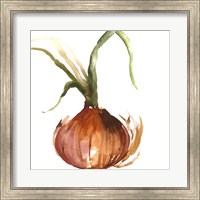 Onion Fine Art Print