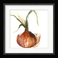 Onion Framed Print