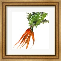 Carrot Fine Art Print