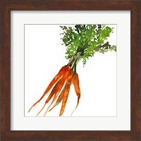 Carrot Fine Art Print