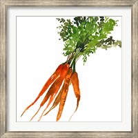Carrot Fine Art Print