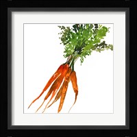 Carrot Framed Print