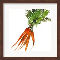 Carrot Fine Art Print