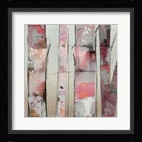 Sunset Birch II Framed Print