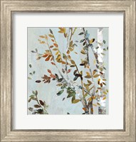 Birch with Leaves II Fine Art Print