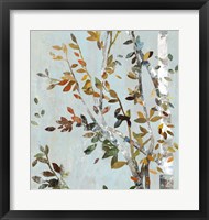 Birch with Leaves II Framed Print