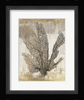 Coral Splendor I Framed Print