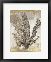 Coral Splendor I Framed Print