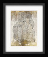Coral Splendor II Framed Print