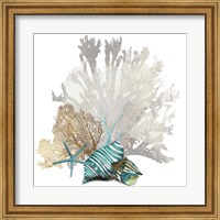 Coral Fine Art Print
