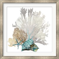 Coral Fine Art Print