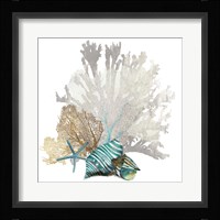 Coral Framed Print