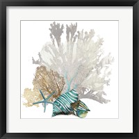 Coral Framed Print