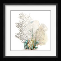Coral II Fine Art Print