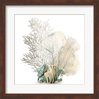 Coral II Fine Art Print