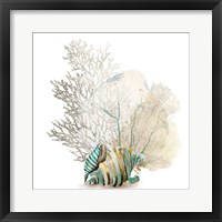 Coral II Fine Art Print