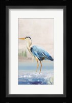 Heron on the Beach II Framed Print