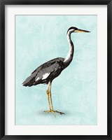 Seashore Bird I Fine Art Print