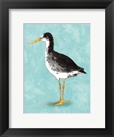Seashore Bird III Fine Art Print