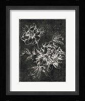 Black Botanical I Framed Print