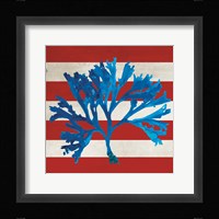 Marine Coral II Framed Print