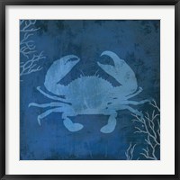 Navy Sea Crab Fine Art Print