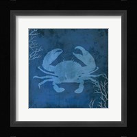 Navy Sea Crab Framed Print