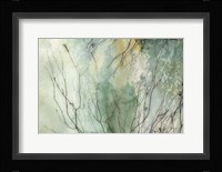 Branches II Framed Print
