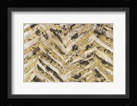 New Zebra I Framed Print