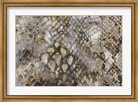 Snake Skin Fine Art Print