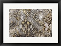 Snake Skin Fine Art Print