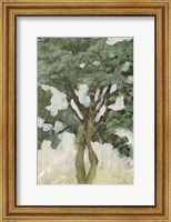 Green Tree Line III Fine Art Print
