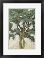 Green Tree Line III Framed Print