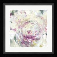 Shabby Peony I Framed Print