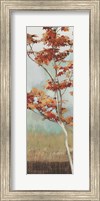 Maple Tree Fine Art Print