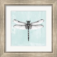 Dragonfly I Fine Art Print