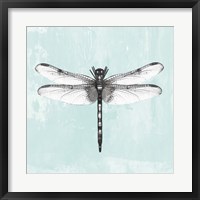 Dragonfly I Fine Art Print