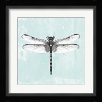 Dragonfly I Framed Print