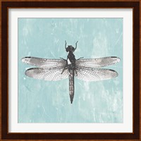 Dragonfly III Fine Art Print