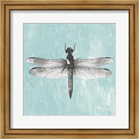 Dragonfly III Fine Art Print