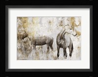 Equestrian Gold II Framed Print