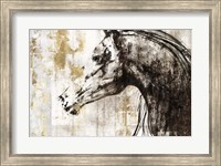 Equestrian Gold IV Fine Art Print