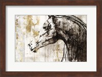 Equestrian Gold IV Fine Art Print