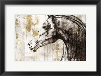 Equestrian Gold IV Framed Print